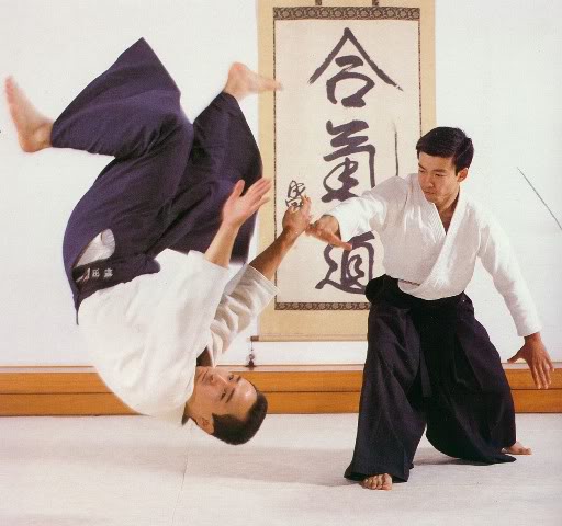 Image result for aikido throw